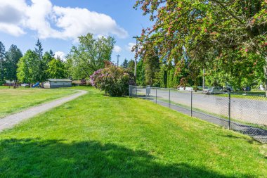 Burien, Washington 'da şehir parkı çimenleri ve bahar çiçekleri.