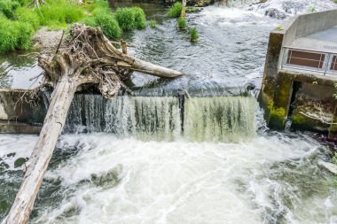 Washington 'da Tumwater Şelalesi manzarası.