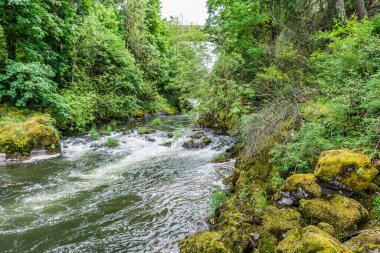 Washington 'daki Güzel Desparutes Nehri.