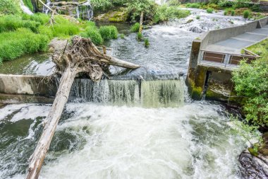 Washington 'da Tumwater Şelalesi manzarası.