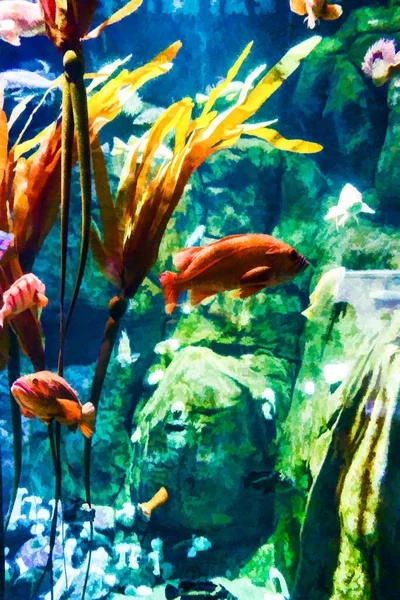 ワシントン州タコマの水族館での魚のイラスト — ストック写真