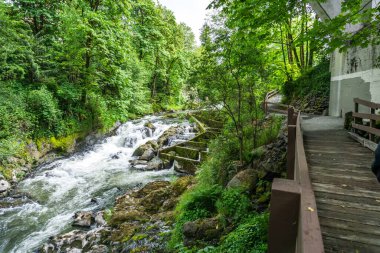 Washington 'daki Tumwater Şelalesi Parkı' nda nehir akıntısı.
