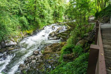 Washington 'daki Tumwater Şelalesi Parkı' nda nehir akıntısı.