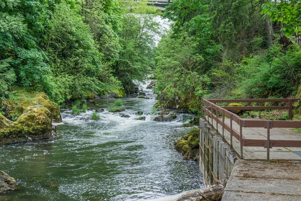 Bellissimo Fiume Deschutes Nello Stato Washington — Foto Stock