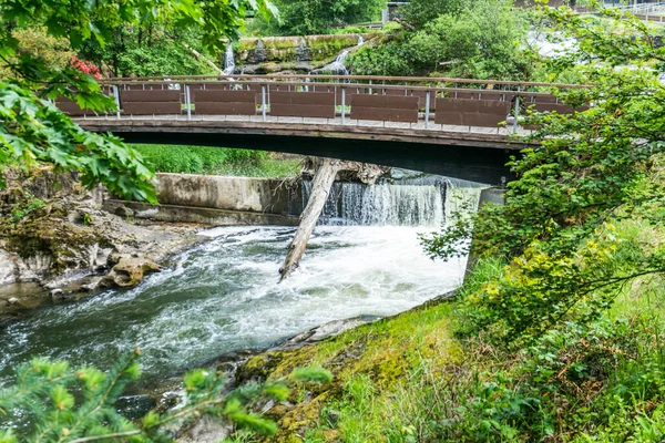 Ponte Piedi Tumwater Falls Nello Stato Washington — Foto Stock