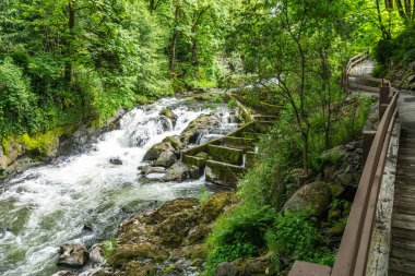 Washington 'daki Tumwater Şelalesi Parkı' nda nehir akıntısı.