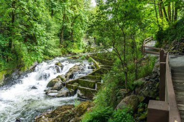 Washington 'daki Tumwater Şelalesi Parkı' nda nehir akıntısı.