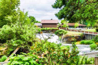 Washington 'daki Tumwater Falls Parkı' nın bir resmi..