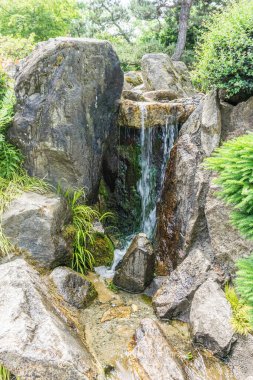 Seatac, Washington 'da bir bahçede şelale..
