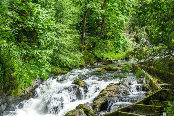 Natursköna Forsar Vid Tumwater Falls Park Delstaten Washington — Stockfoto