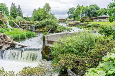 Washington 'da Tumwater Şelalesi manzarası.