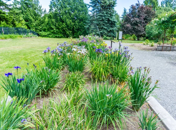 Uma Vista Jardim Íris Seatac Washington — Fotografia de Stock