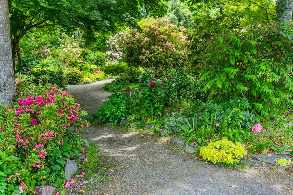 Jarní Květiny Podél Zahradní Pěšiny Seatac Washington — Stock fotografie