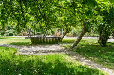 Seatac, Washington 'da ağaçların altında bir bank ve bir bahçe..
