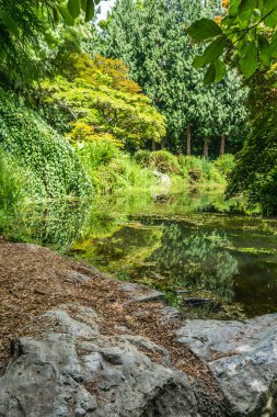 Seattle, Washington 'da bir bahçede gölet.