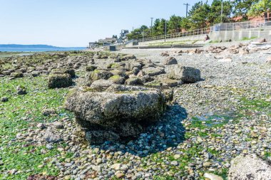 Batı Seattle, Washington 'da dalgalı kıyı şeridi.