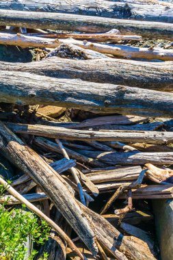Batı Seattle, Washington kıyı şeridi boyunca sürüklenen bir odun yığını..