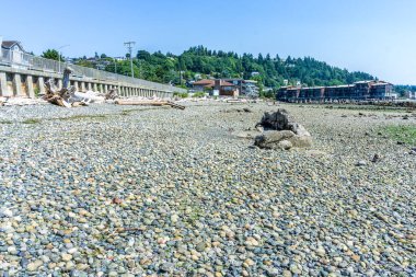 Batı Seattle, Washington 'da dalgalı kıyı şeridi.