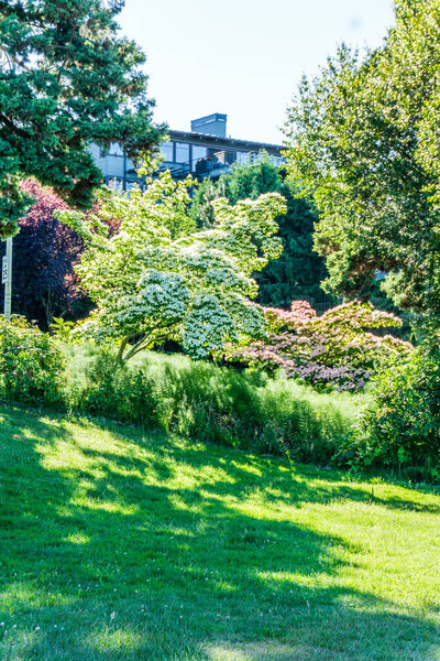 A lawn and flowers at a park in West Seattle, Washington.