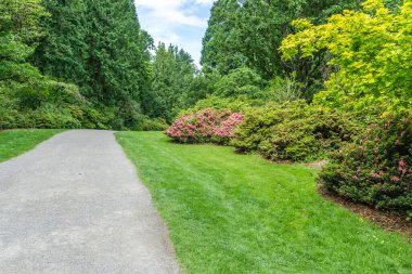 Seattle, Washington 'da bir bahçede patika var..