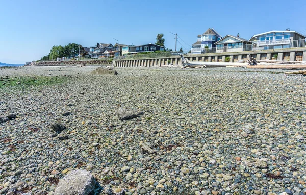 Felsige Küste Bei Ebbe West Seattle Washington — Stockfoto