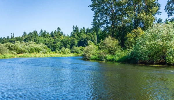 Eine Landschaftsaufnahme Des Sammamish River Bundesstaat Washiington — Stockfoto