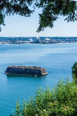 Tacoma, Washington 'daki Tacoma Kubbesi yakınlarındaki bir fabrikadan buhar yükseliyor..