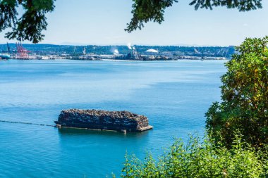Tacoma, Washington 'daki Tacoma Kubbesi yakınlarındaki bir fabrikadan buhar yükseliyor..