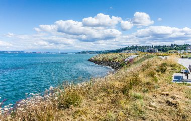 Ruston, Washington 'daki Dune Peninsula Parkı' nda kıyı boyunca uzanan kuru yaz otları manzarası.