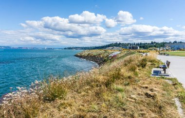 Ruston, Washington 'daki Dune Peninsula Parkı' nda kıyı boyunca uzanan kuru yaz otları manzarası.
