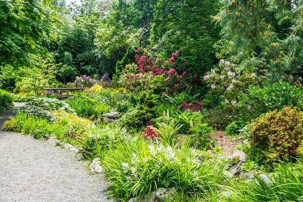 Jardín Flores Con Una Amplia Variedad Seatac Washington — Foto de Stock