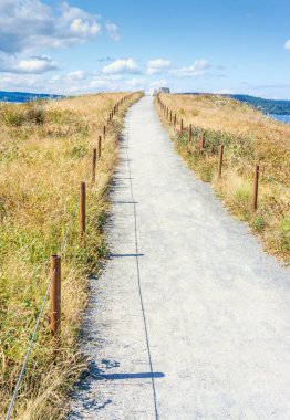 Ruston, Washington 'daki Dune Yarımadası Parkı' nda bir patika gökyüzüne çıkıyor gibi görünüyor..