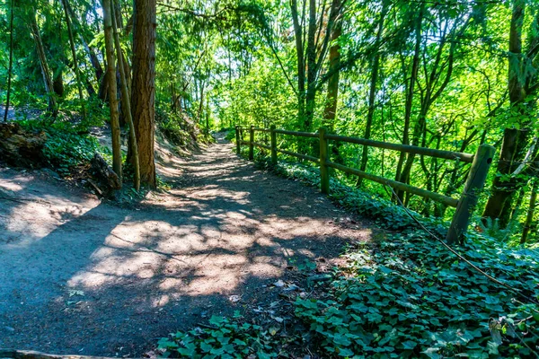 Vue Sur Sentier Naturel Une Clôture Bois Normandy Park Washington — Photo