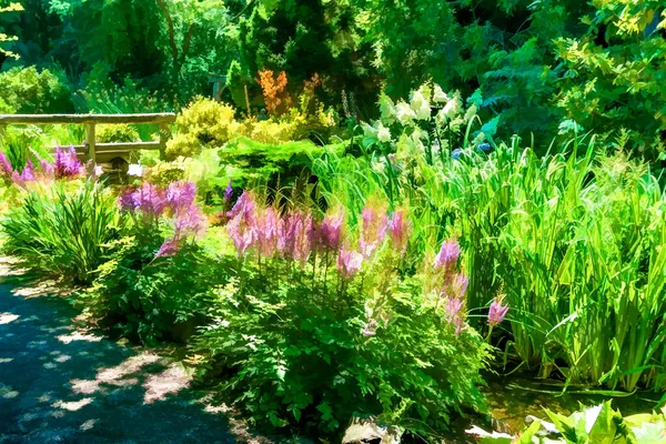 Illustration Photo Jardin Fleurs Seatac Washington — Photo