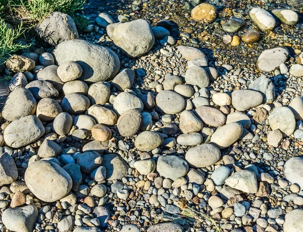 Olympia Washington Daki Pürüzsüz Kıyı Şeridi Sallanıyor — Stok fotoğraf