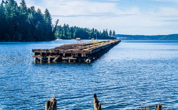 Una Vista Muelle Abandonado Área Conservación Woodard Bay Olympia Washington — Foto de Stock