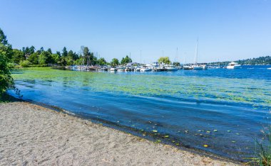 Seattle 'da Washington Gölü' nde bir marina..