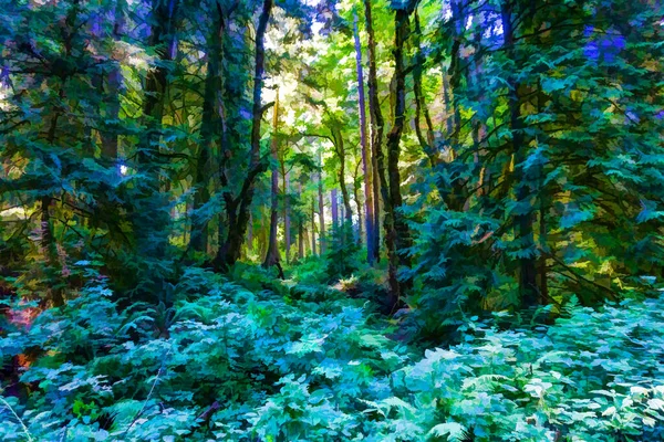 Sebuah Ilustrasi Pohon Area Konservasi Teluk Woodard Olympia Washington — Stok Foto