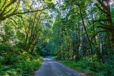 Olympia, Washington 'daki Woodard Körfezi girişi..