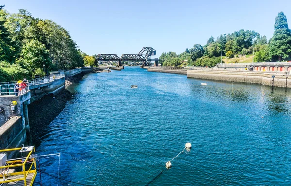 Washington 'daki Ballard Locks' ta Somon Körfezi Köprüsü..
