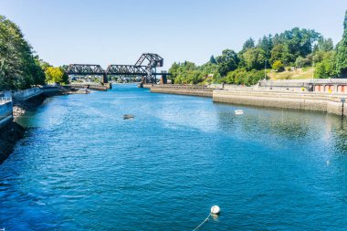Washington 'daki Ballard Locks' ta Somon Körfezi Köprüsü..