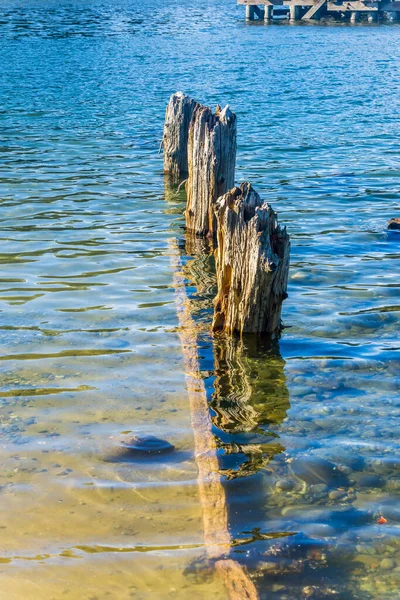 Alte Pfähle Woodard Bay Bei Olympia Washington — Stockfoto