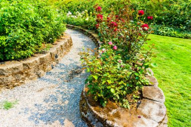 Tacoma, Washington 'daki Point Tanım Parkı' nda gül bahçesi yolu.