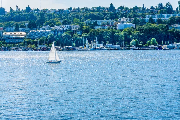 Vista Los Edificios Largo Lake Union Fotografía Tomada Desde Gasworks — Foto de Stock