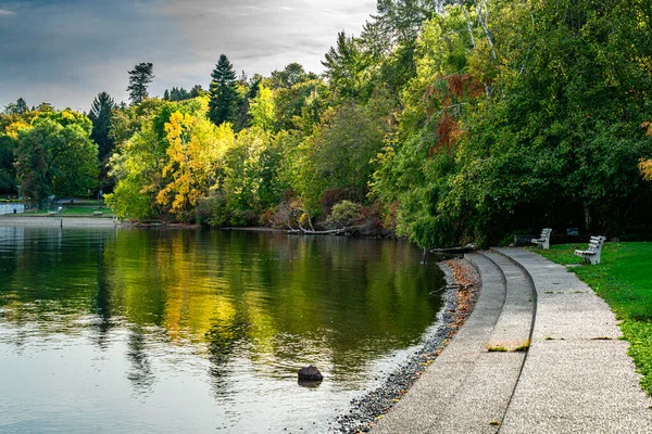 Seattle 'da Washington Gölü boyunca bir şehir parkı. Sonbahar geldi..