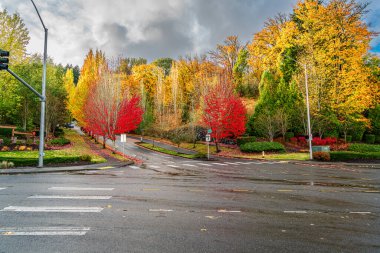 Kent, Washington 'da sonbahar renkleriyle bir otoyol kavşağı.