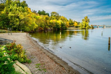 Washington Gölü kıyısında sonbahar renkleri. Seattle 'da.