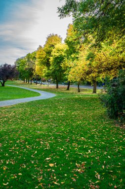Autumn colors at a city park near Lake Washington in Seattle, Washington.