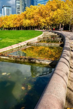 Washington eyaletindeki Bellevue Şehir Parkı 'nda bir yürüyüş yolu..