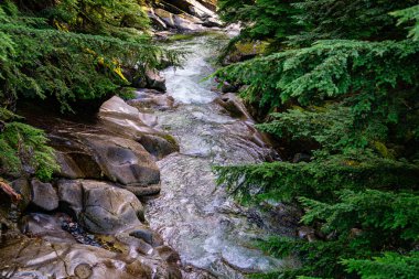 Washington 'daki Denny Creek' te akan su manzarası.